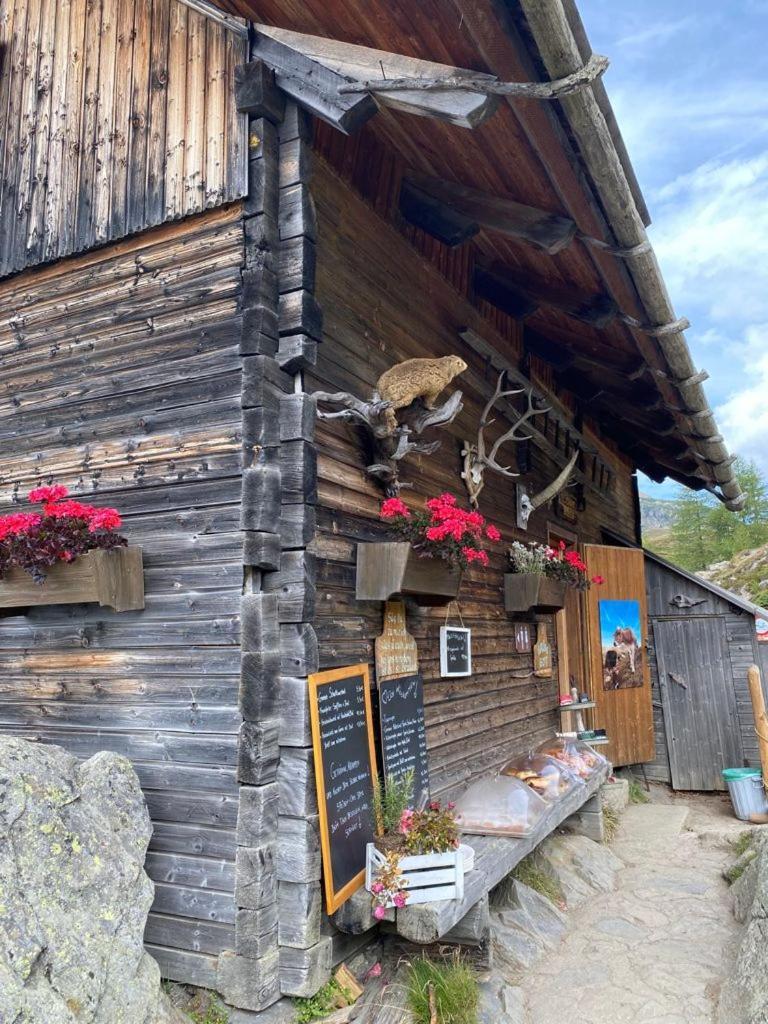 Nocky Mountains Lodge And Apartment Radenthein Exterior foto